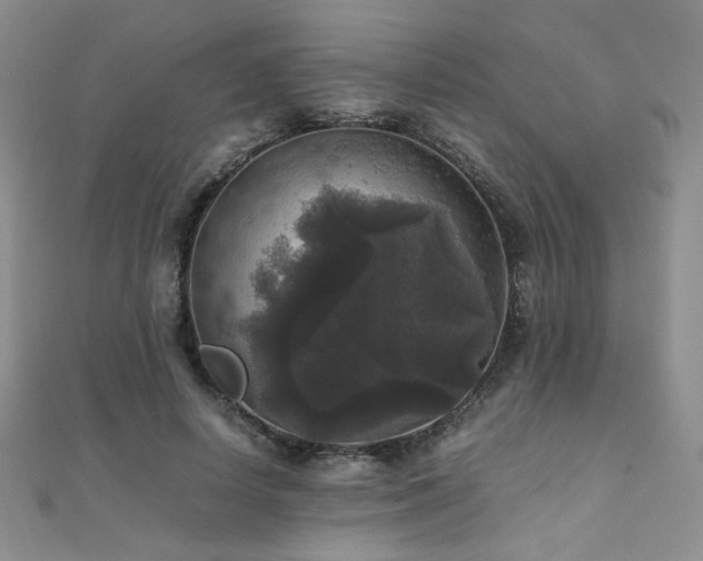 X0000110710642200906121355
