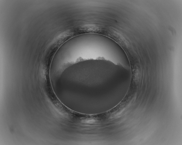 X0000110710643200906121355