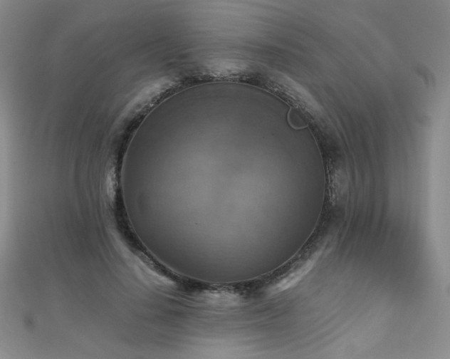 X0000110710644200906121355