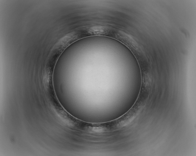 X0000110710645200906121355