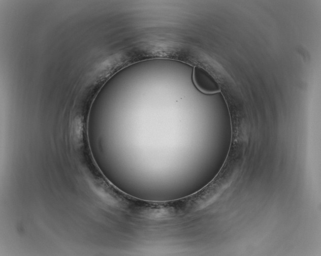 X0000110710646200906121355