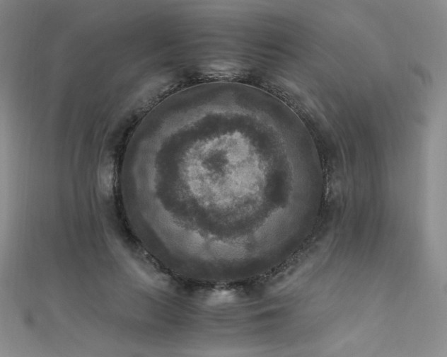 X0000110710647200906121355
