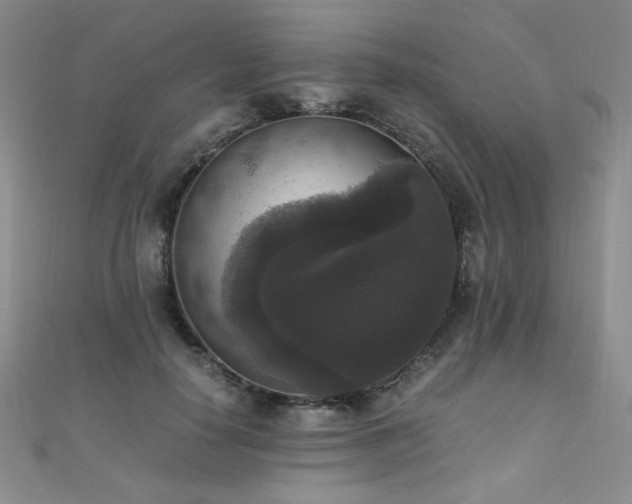 X0000110710650200906121355