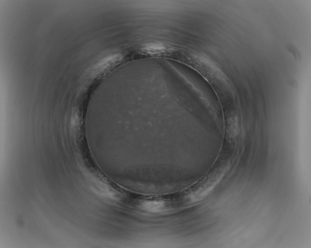 X0000110710653200906121355