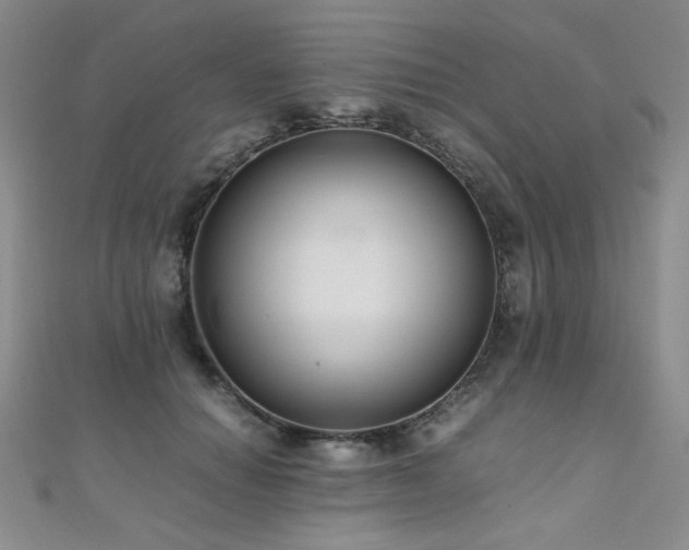 X0000110710654200906121355