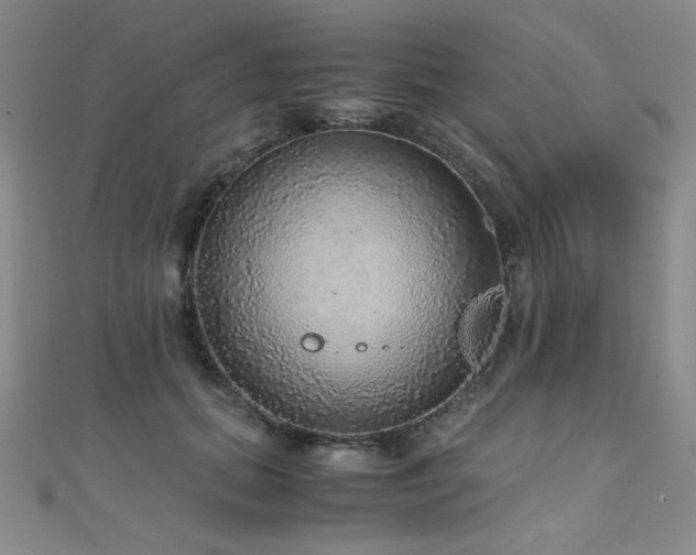 X0000110710655200906121355