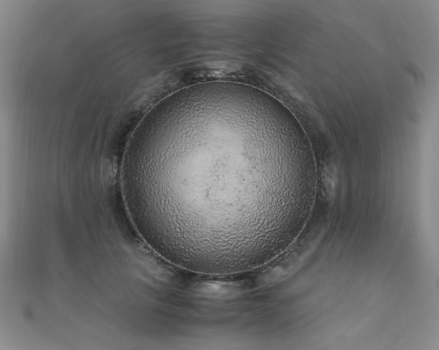 X0000110710657200906121355