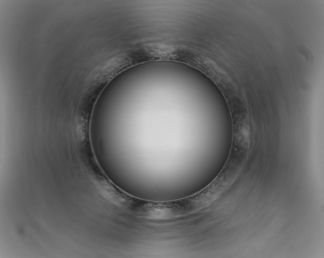 X0000110710658200906121355