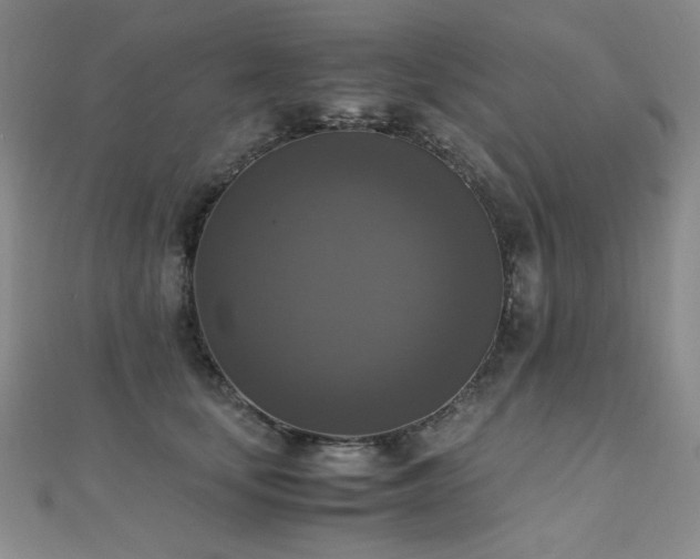 X0000110710659200906121355