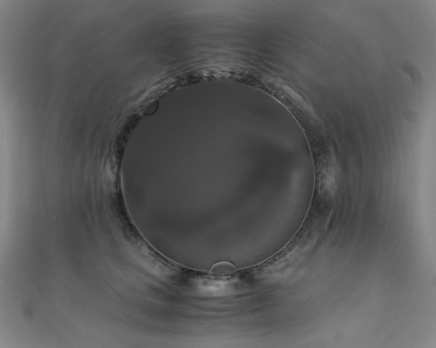 X0000110710661200906121355