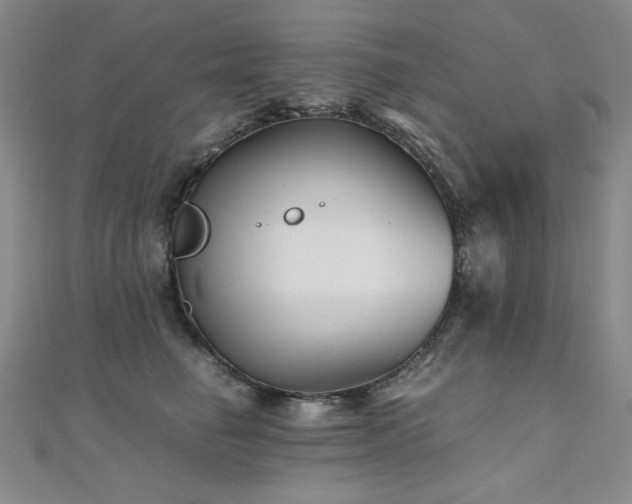 X0000110710662200906121355