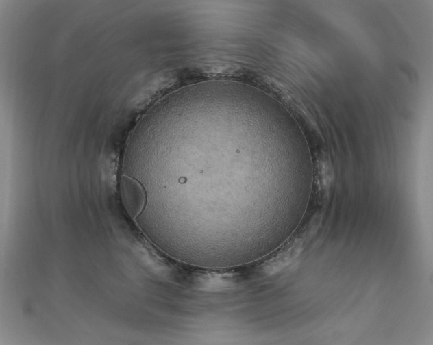 X0000110710664200906121355