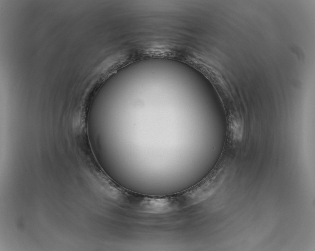 X0000110710665200906121355