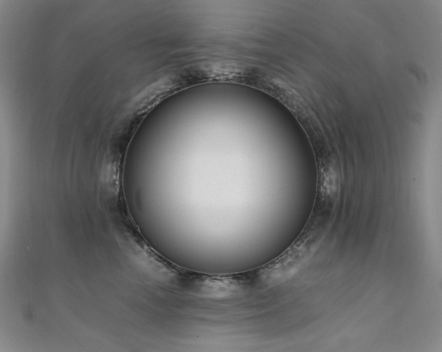 X0000110710666200906121355