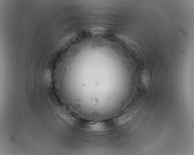 X0000110710667200906121355