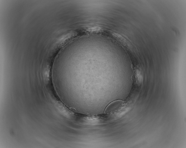 X0000110710668200906121355