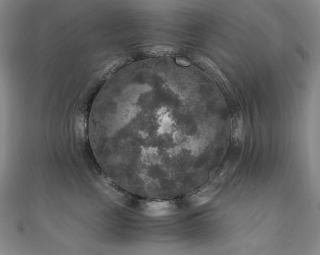X0000110710669200906121356