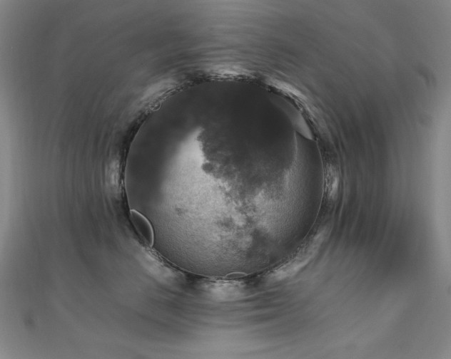 X0000110710670200906121356