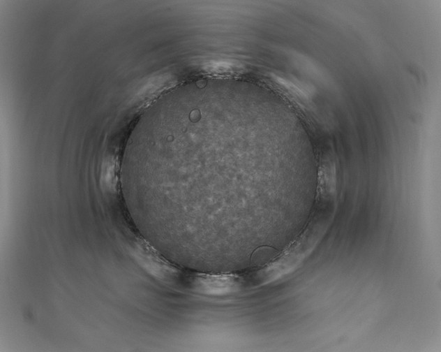 X0000110710671200906121356