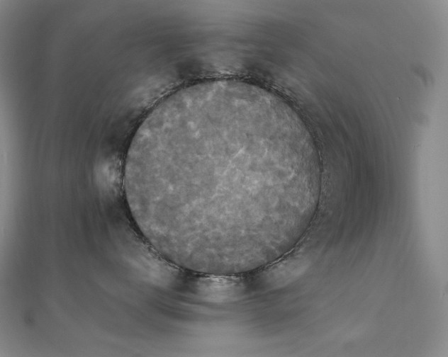 X0000110710672200906121356