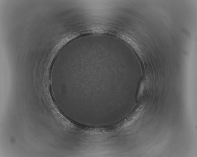 X0000110710673200906121355