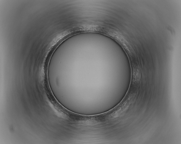 X0000110710674200906121355