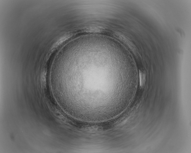 X0000110710675200906121355