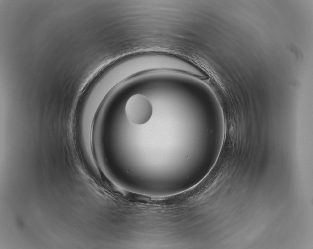 X0000110710676200906121355