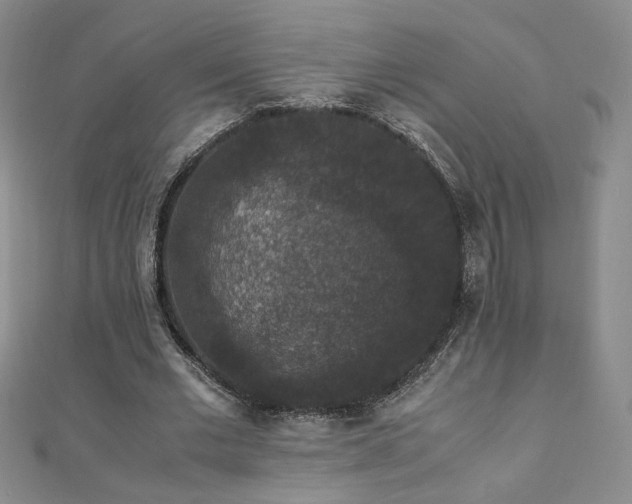 X0000110710677200906121355