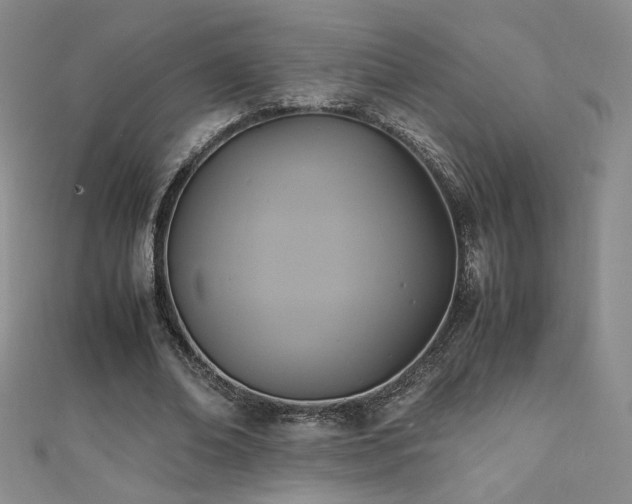X0000110710678200906121355