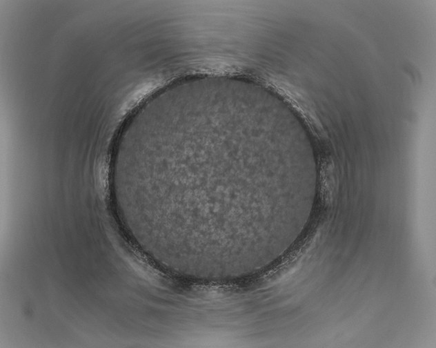 X0000110710679200906121355