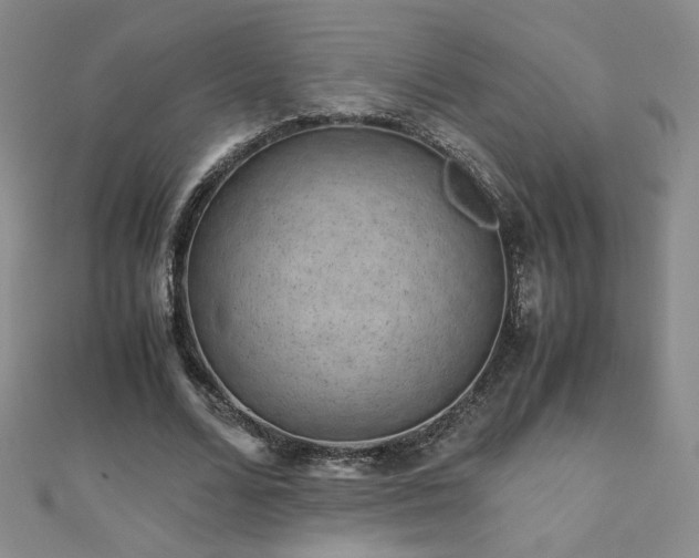 X0000110710680200906121355