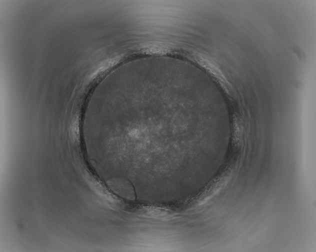 X0000110710681200906121355
