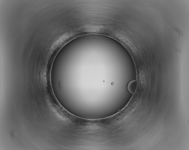 X0000110710682200906121355