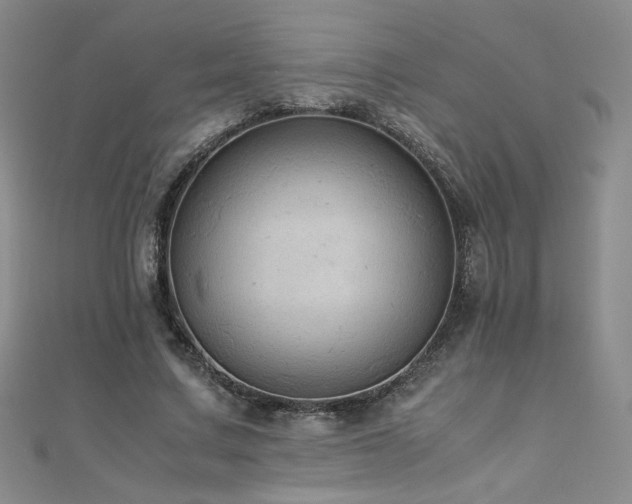 X0000110710683200906121355