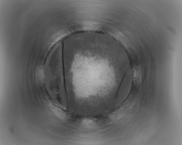 X0000110710684200906121355
