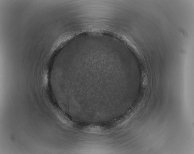 X0000110710685200906121355