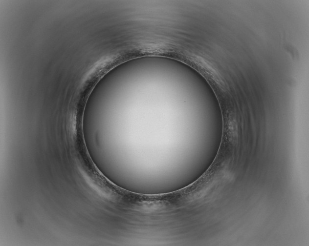 X0000110710686200906121355