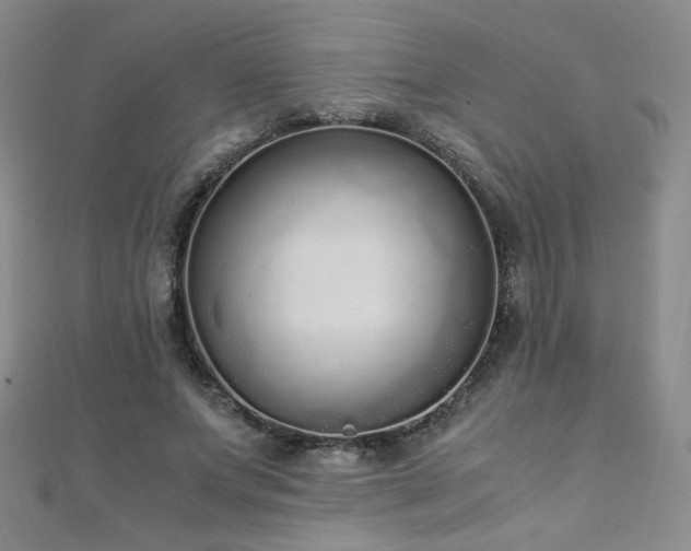 X0000110710687200906121355