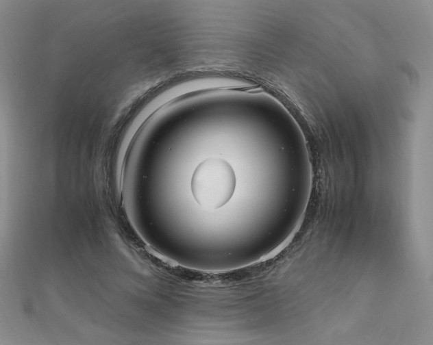 X0000110710688200906121355