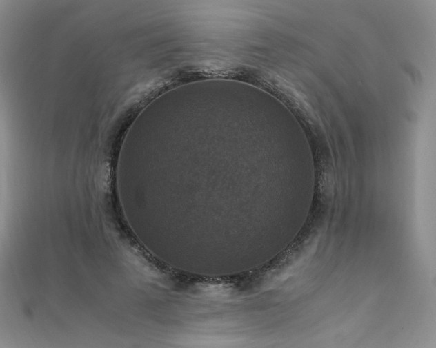 X0000110710689200906121355