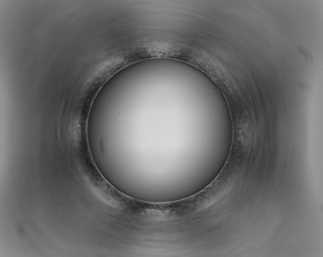 X0000110710690200906121355