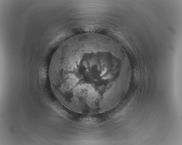 X0000110710691200906121355