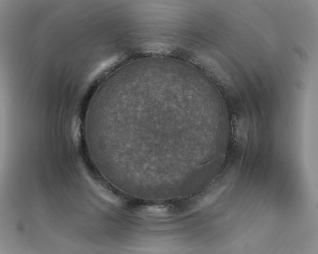 X0000110710692200906121355
