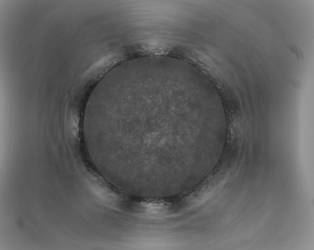 X0000110710693200906121355