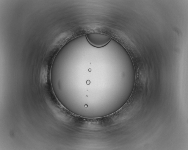 X0000110710694200906121355