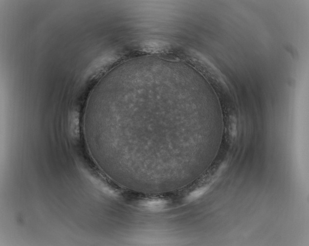 X0000110710696200906121355