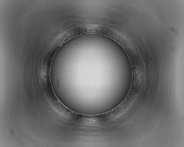X0000110710698200906121355