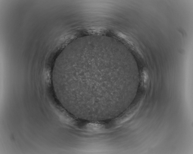 X0000110710699200906121355