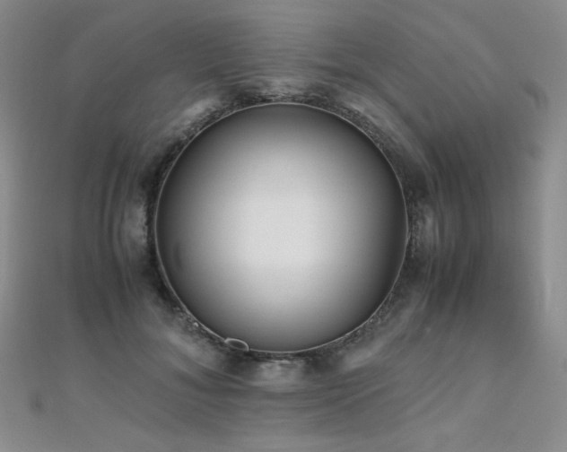 X0000110710700200906121355